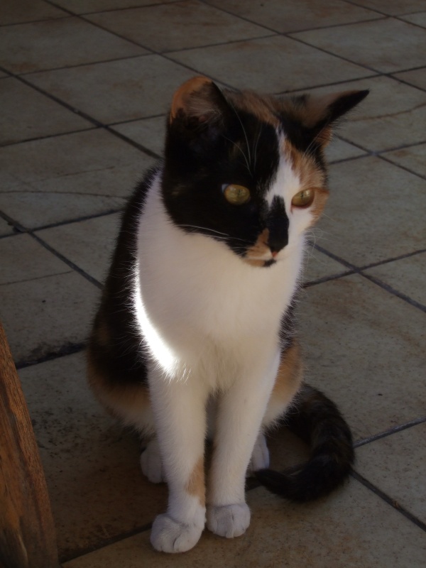 Ostern 2007 Orleshausen 036 